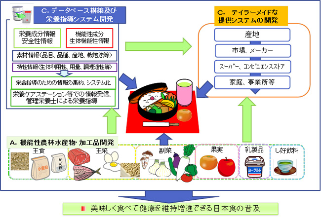 図１．機能性農林水産物・食品開発プロジェクトの研究イメージ