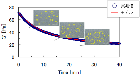 図3．貯蔵弾性率の時間変化とモデル式に基づいたフィッティング